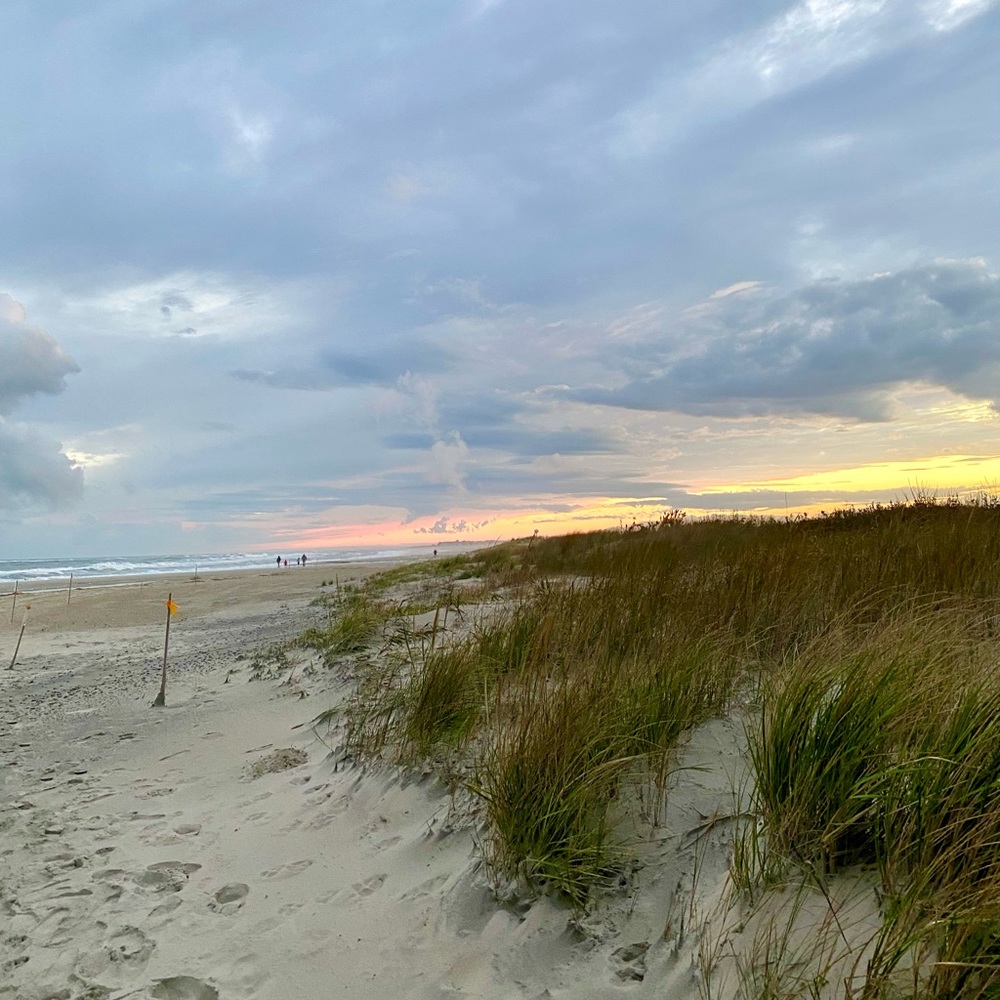 Meet your Posher, Monica